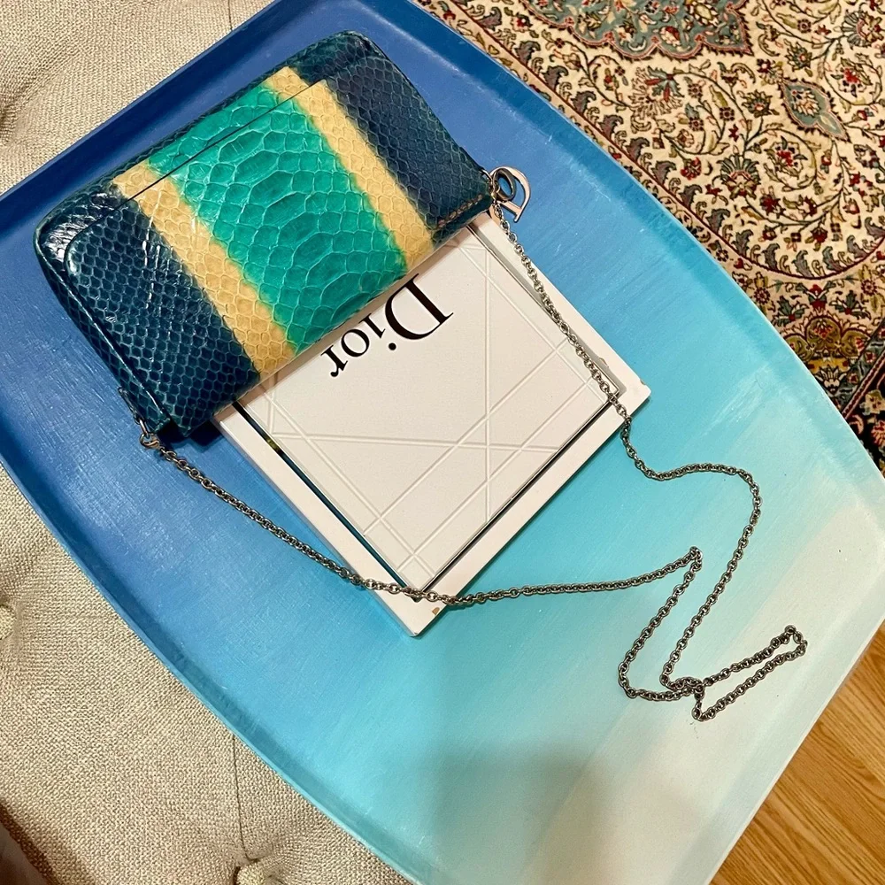 Dior Blue Python & Leather WOC Bag - Picture 9 of 16